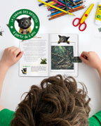 Kit Créatif Enfant à imprimer | Les insectes | Activité sans écran à partir de 6 ans